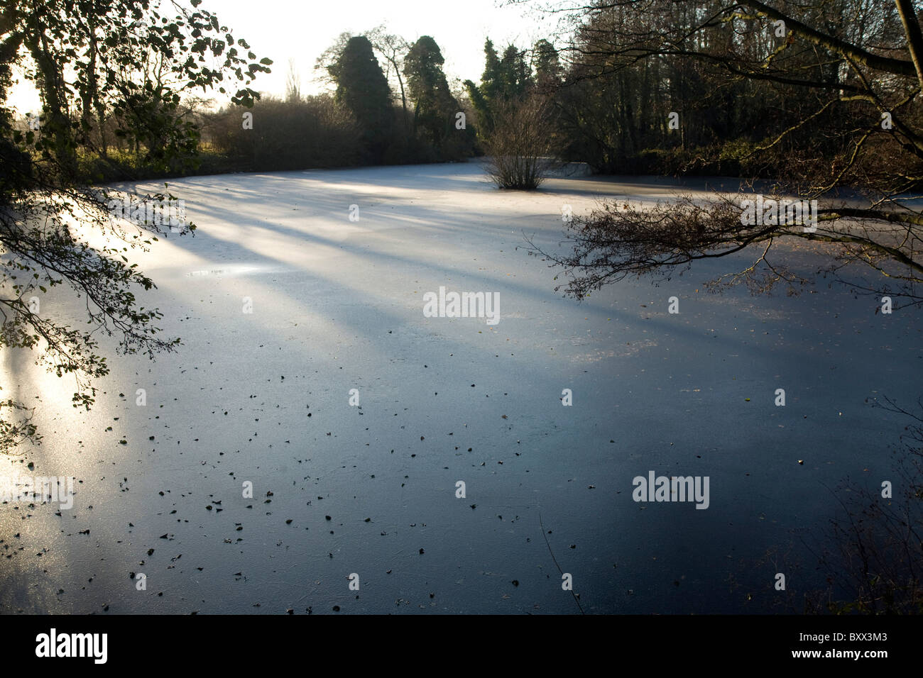 Gefrorene Teiche Teich Lehm, Sutton, Suffolk, England Stockfoto