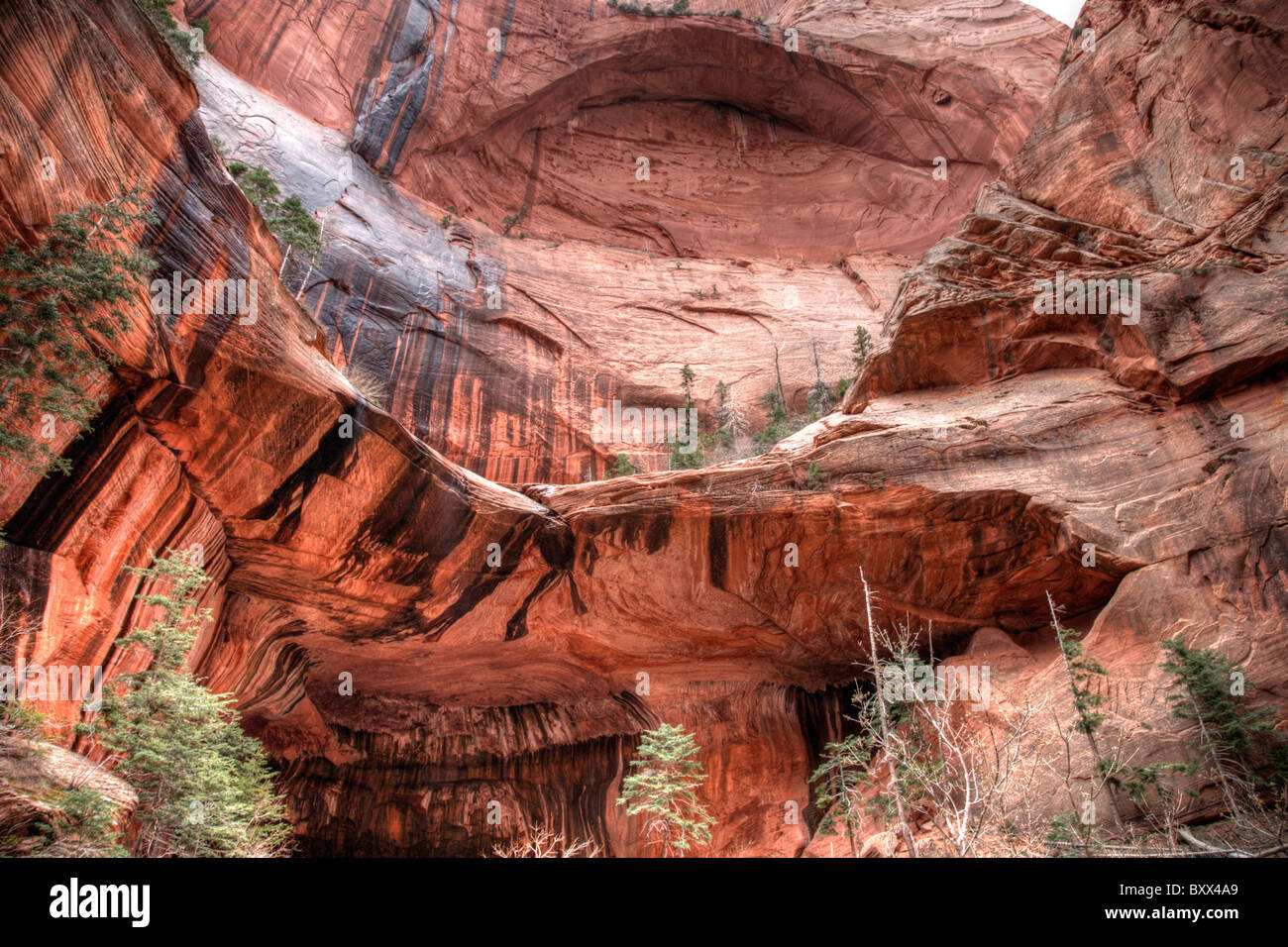 Double Arch Alkoven im Bereich Kolob Canyons der Zion Nationalpark, Utah, USA. Stockfoto