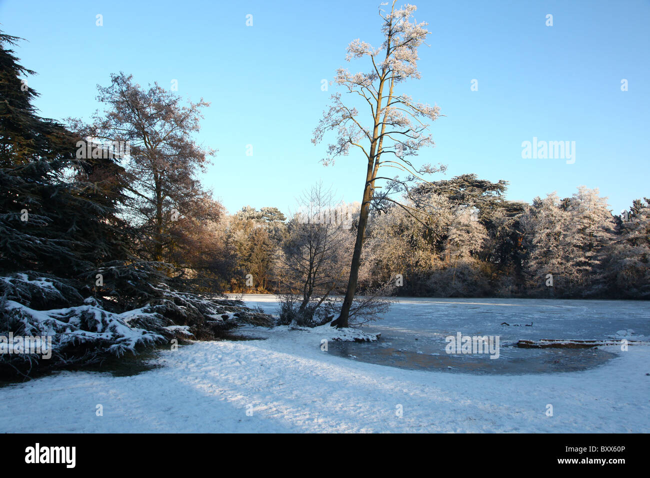 Schneebedeckten Park und See Stockfoto