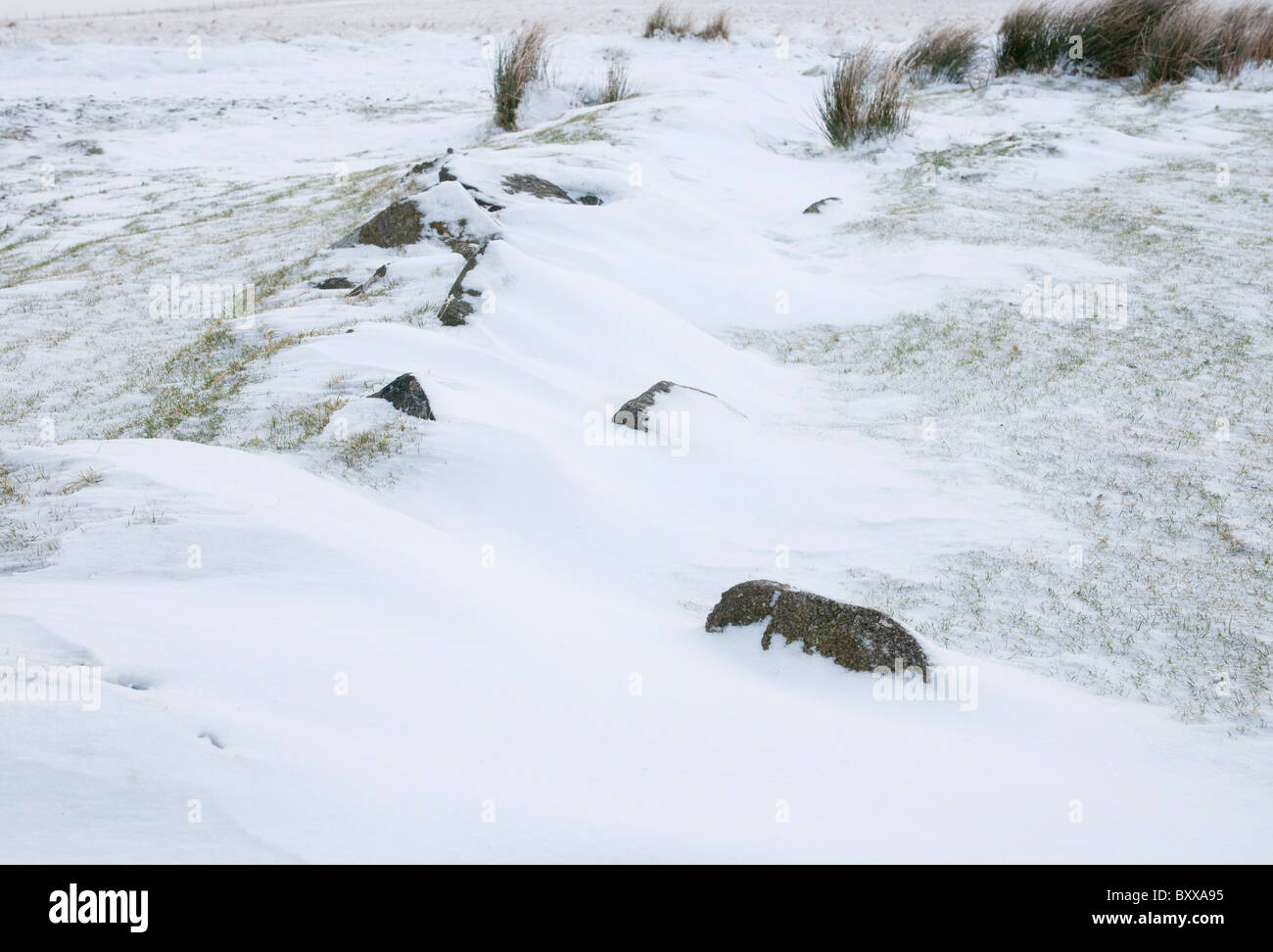 Schnee treiben gegen die Linie der Felsen auf Dartmoor, Devon UK Stockfoto