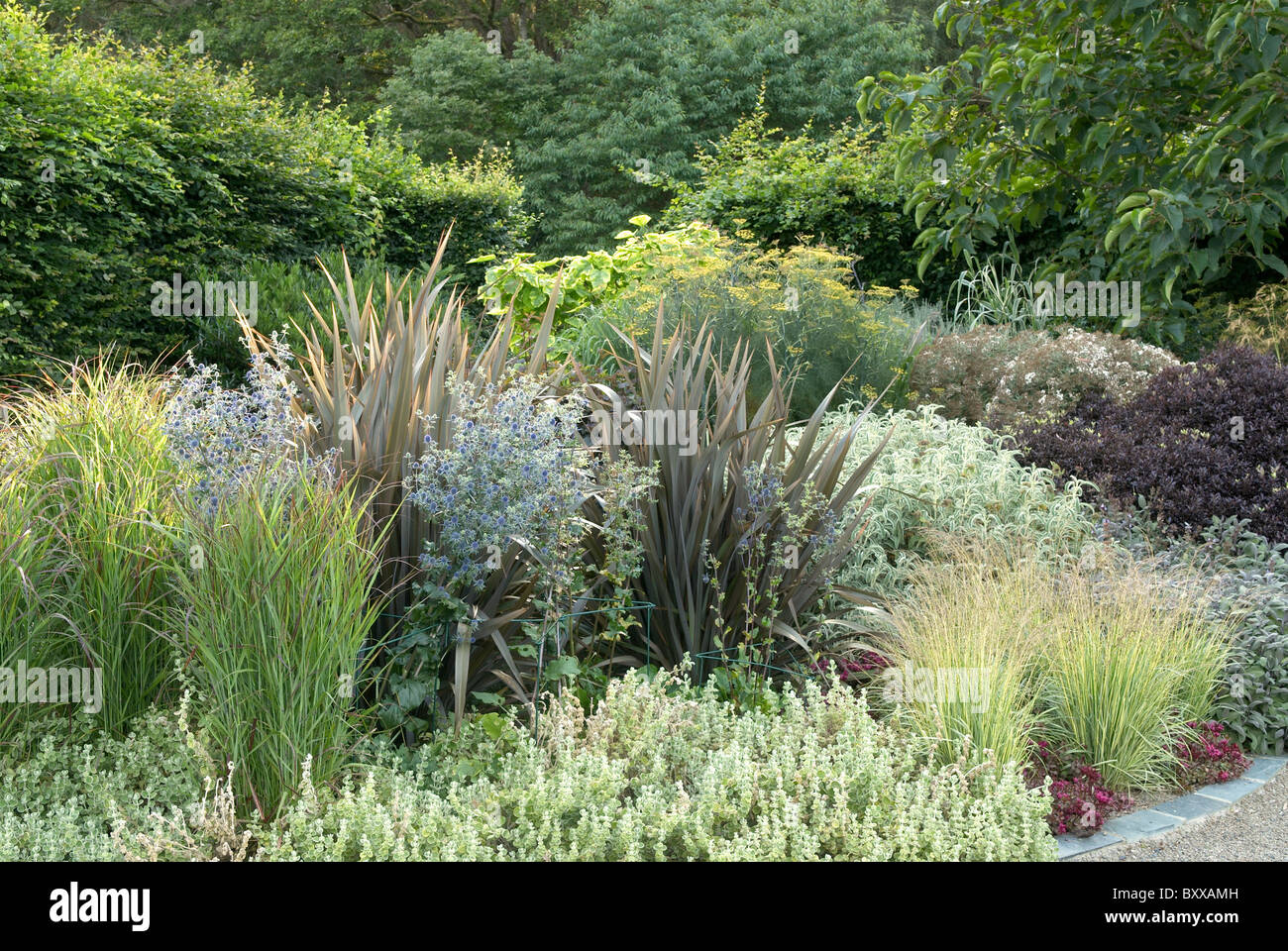 Laub Garten am RHS Rosemoor Devon UK Stockfoto