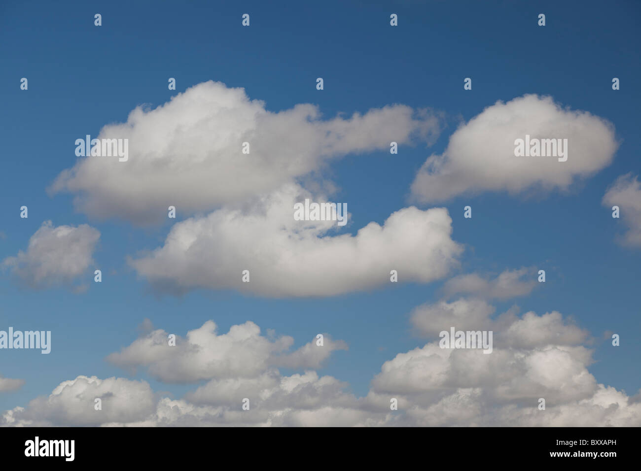 Cumulus-Wolken vor blauem Himmel, Northamptonshire, UK Stockfoto