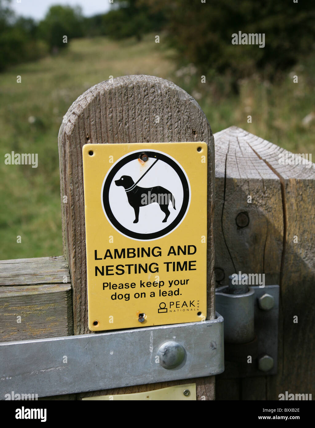 Ein Peak District National Park Schild mit der Aufschrift Lambing und Nistzeit, bitte halten Sie Ihren Hund an der Leine, England, Großbritannien Stockfoto