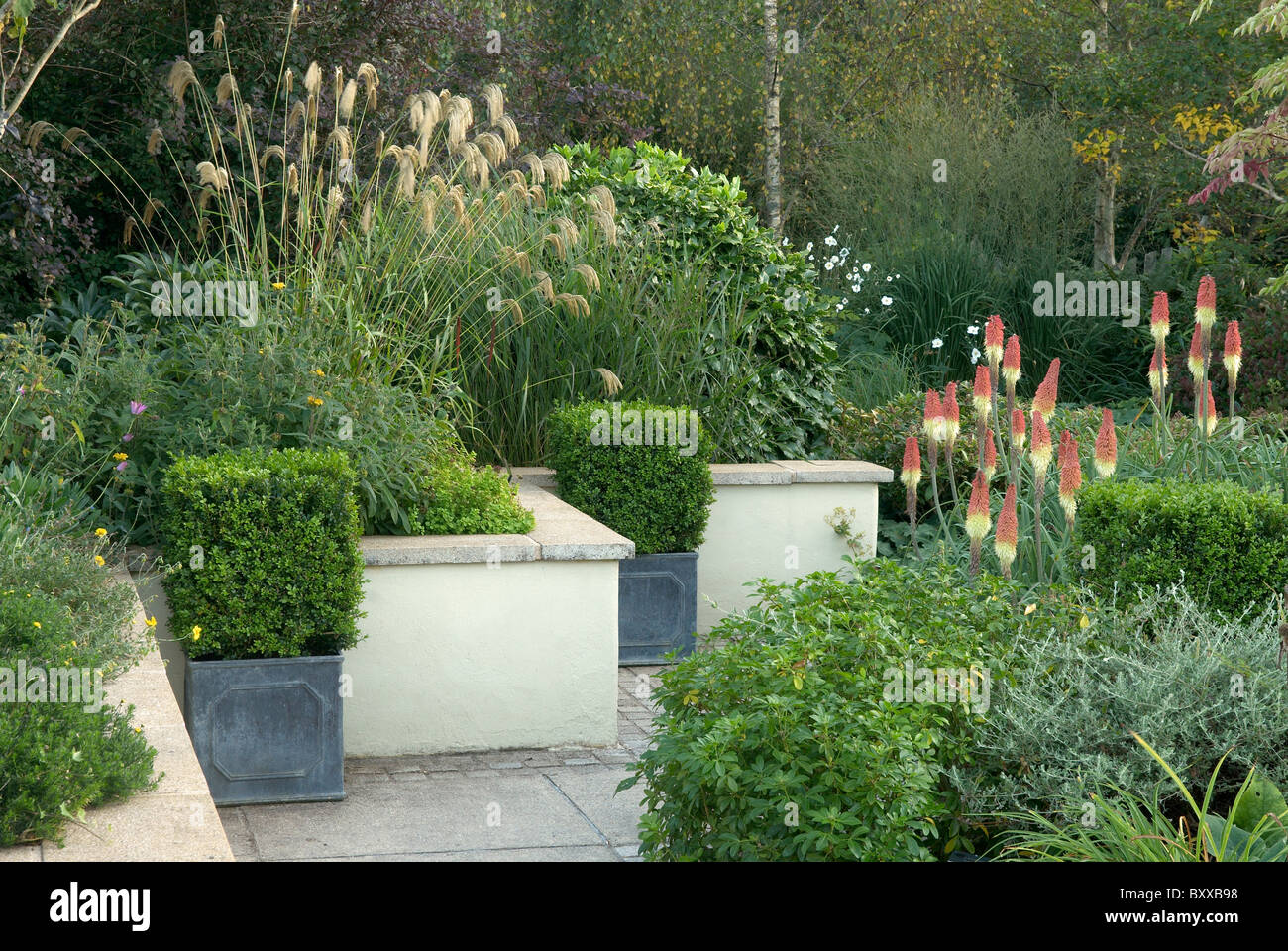 Gartenterrasse mit Miscanthus und Kniphofia bei Rhs rosemoor Stockfoto