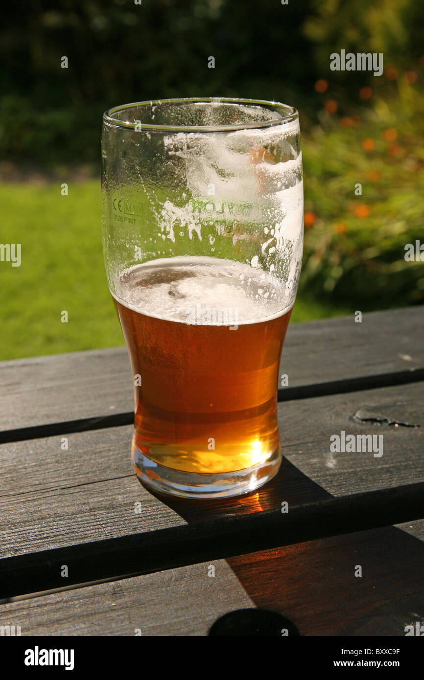 Ein Pint Glas echtes Ale Bier, entweder halb voll oder halb leer! Stockfoto