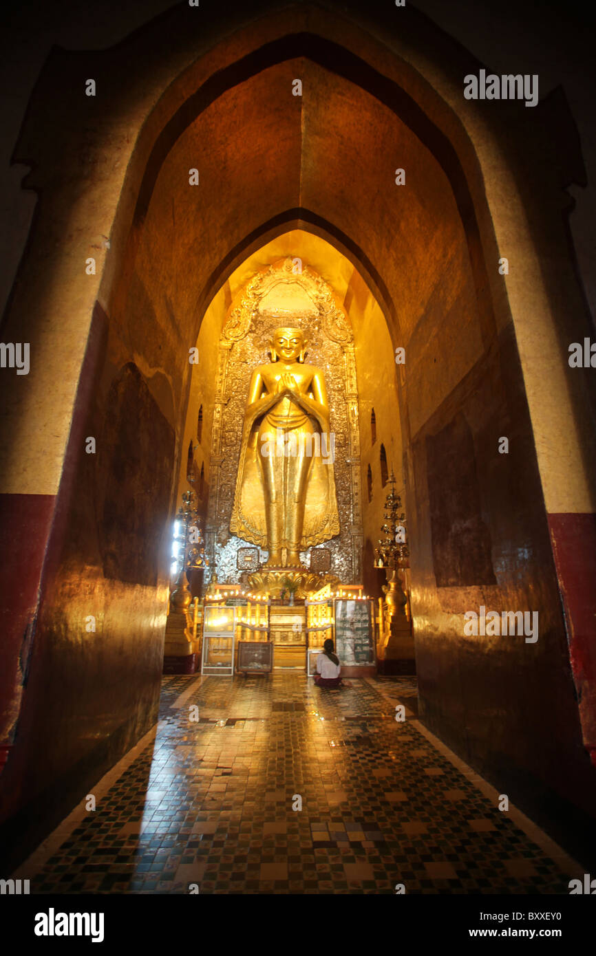 Eine riesige goldene Buddhastatue auf eine innere Heiligtum in Ananda oder Anandar buddhistischer Tempel in Bagan, Myanmar. (Burma) Stockfoto