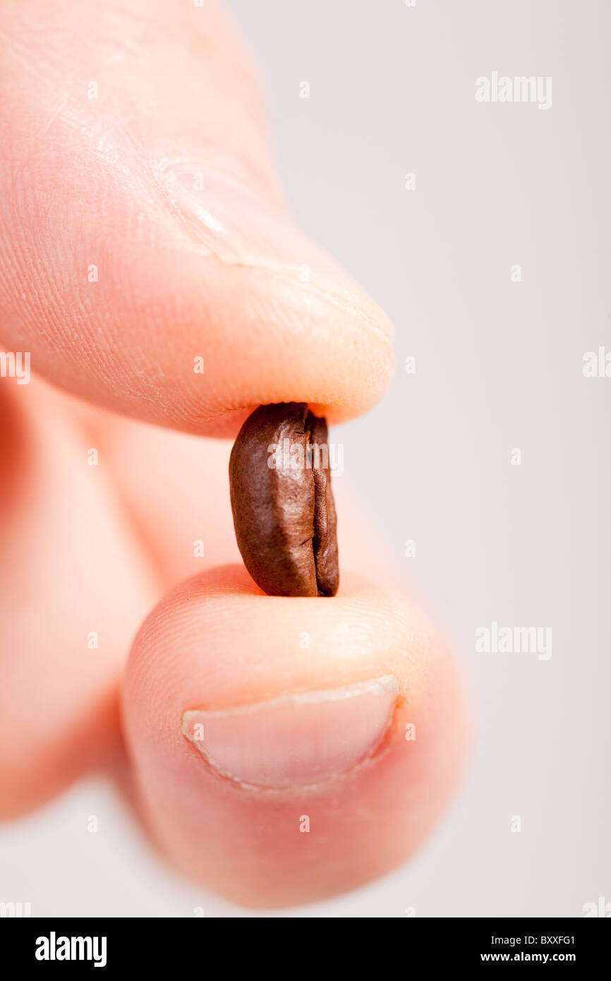 Hand mit Coffe Bean. Schweden Stockfoto