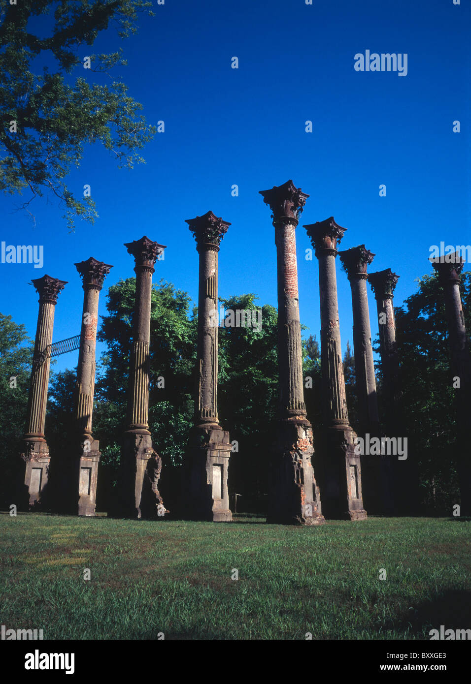 Windsor Ruinen, Alcorn, Mississippi - Vorkriegs Plantage Herrenhaus brannte im Jahre 1890 auf der Spur Natchez Trace Fußweg. Stockfoto