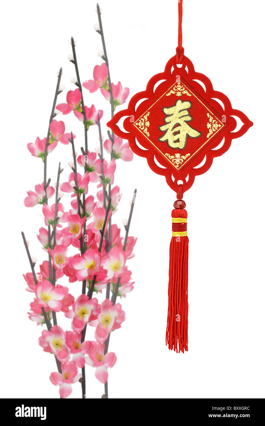 Chinesisches Neujahr traditionellen Ornamenten und Pflaumenblüte auf weißem Hintergrund Stockfoto