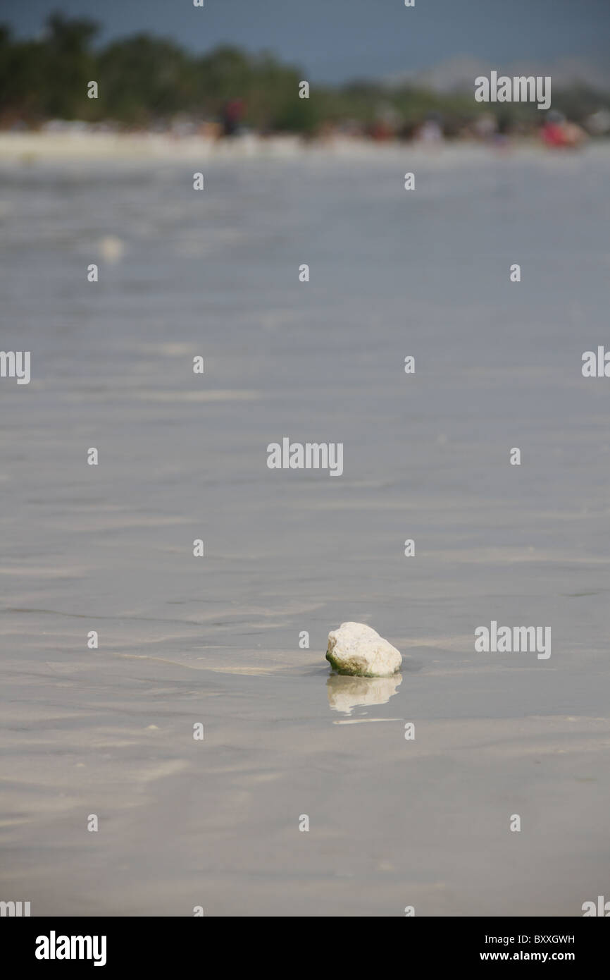 Ein einzelner weißen Felsen sitzt am Ufer des wunderschönen weißen Sandstrand. Stockfoto