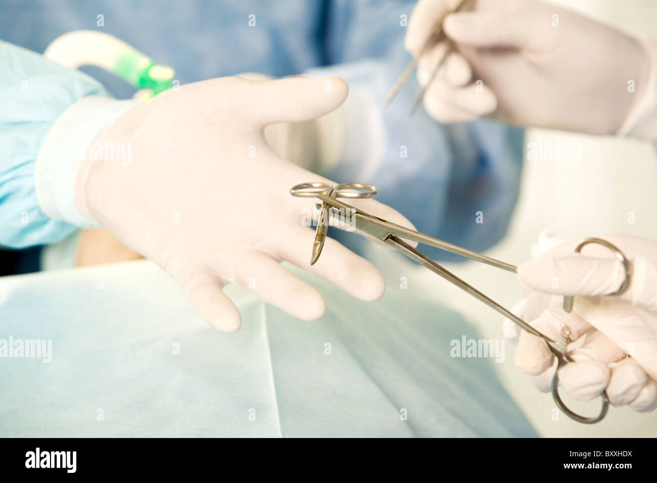 Nahaufnahme der behandschuhten Hand des Chirurgen nehmen Instrument von Assistenten Stockfoto