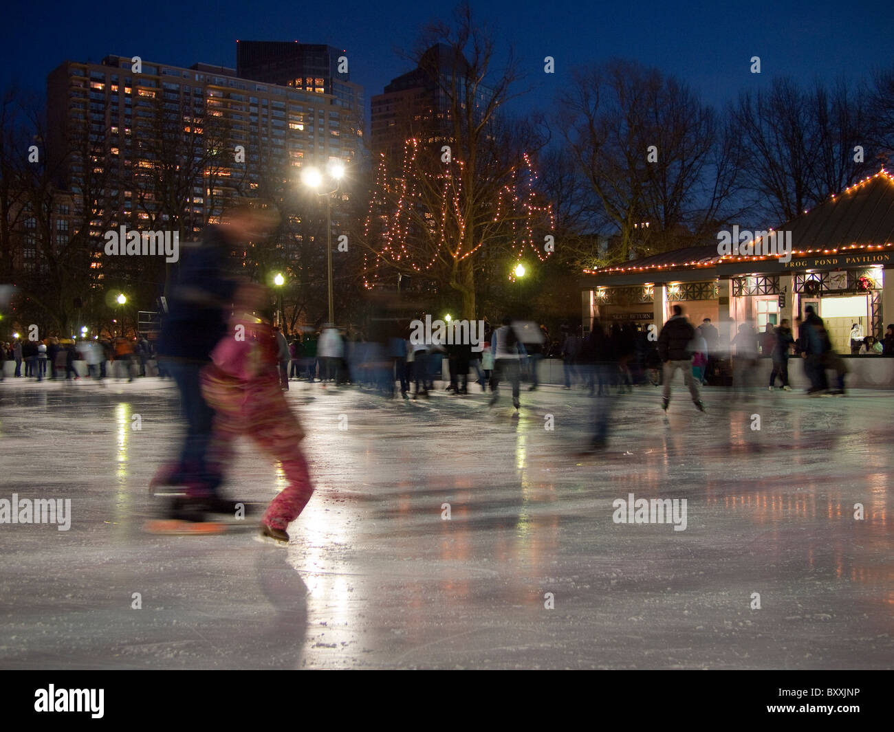 Eisläufer auf Frosch-Teich, Boston, USA Stockfoto