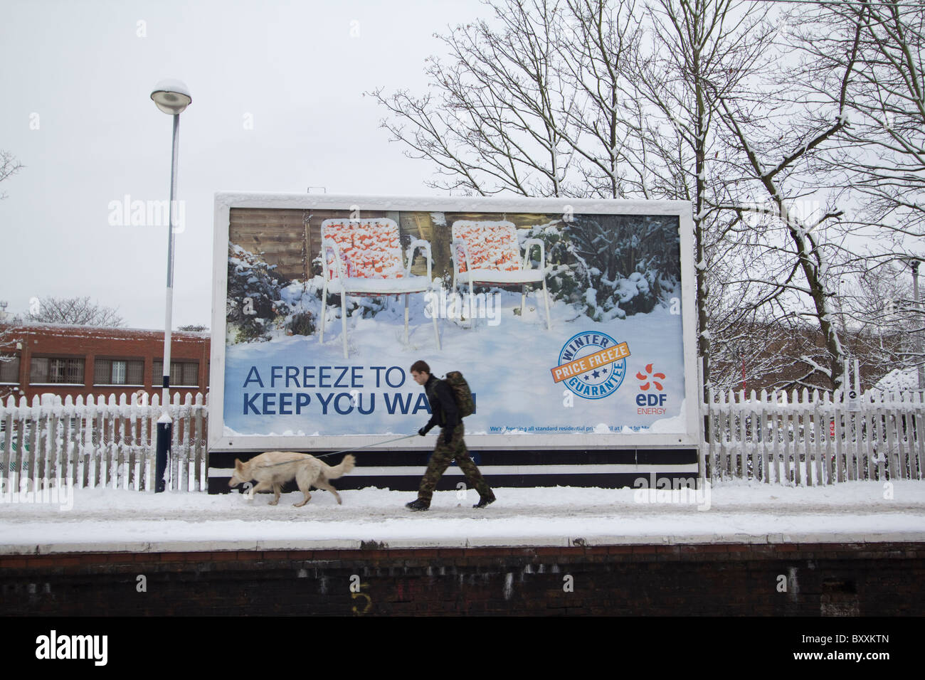 Mann und Hund gehen vorbei an J C Decaux Poster, Werbespots, Plakate mit edf Energie Werbung im Schnee. Highams Park Station, London, Großbritannien Stockfoto