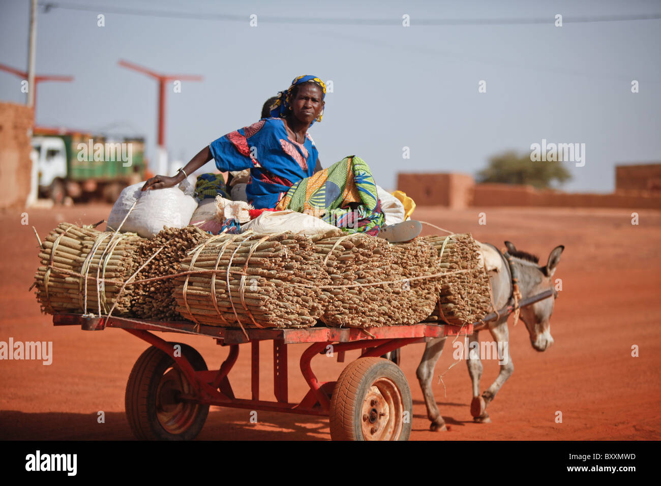 Eine Familie bringt geerntete Hirse auf den Markt von Eselskarren in Djibo, Burkina Faso. Stockfoto