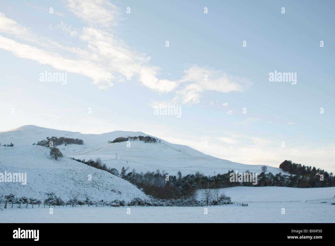 Die Moorfoot Hills am Flotterstone nr Penicuik - Pentland Range - Schottland - Großbritannien - 8. Januar 2010. Bild: Russell Sneddon | Die Stockfoto