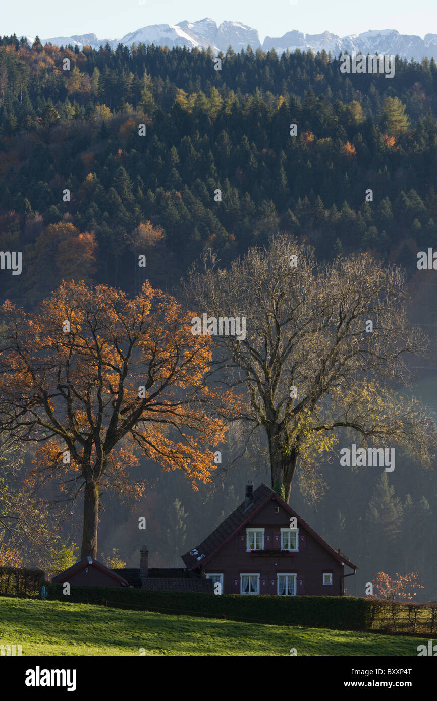 Farben des Herbstes. Ein einzelnes Haus sieht in den späten Nachmittag Licht vor einem dunklen Wald. Stockfoto