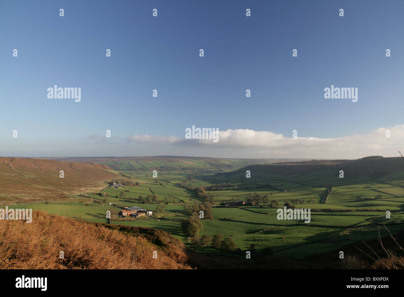 Ein Blick hinunter Fryup Dale in Richtung der Esk Valley am frühen Morgen mit langen Schatten, North York Moors. Stockfoto