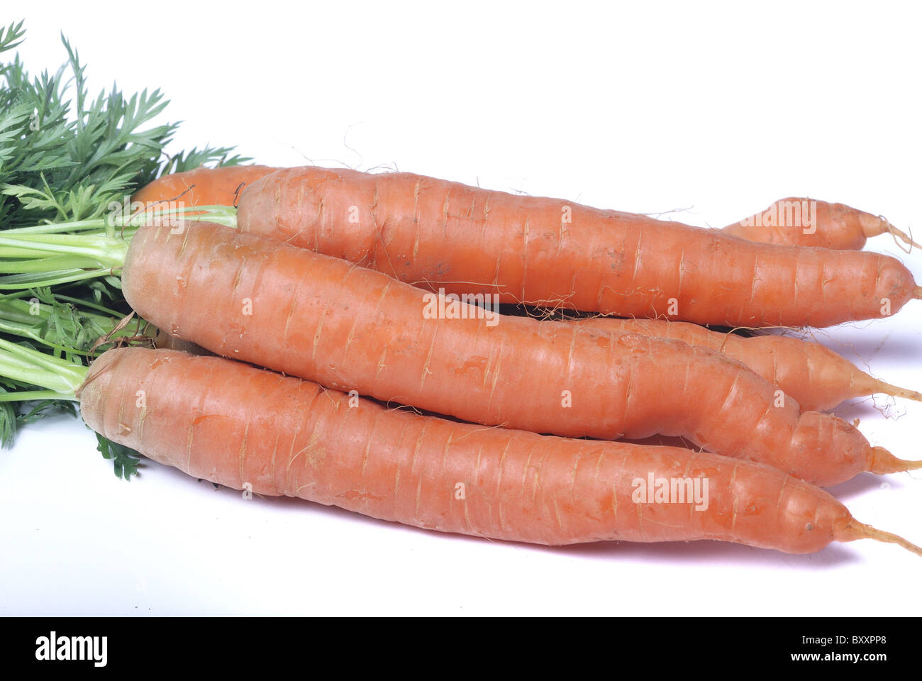 Karotte auf weißem Hintergrund Stockfoto