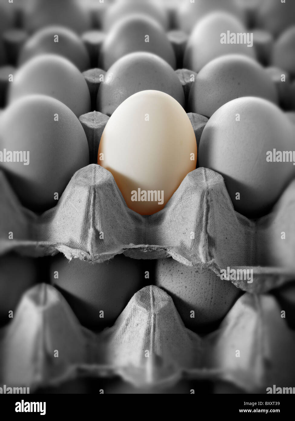 verschiedene farbige Ei in einer Schale mit Eiern. Stockfoto