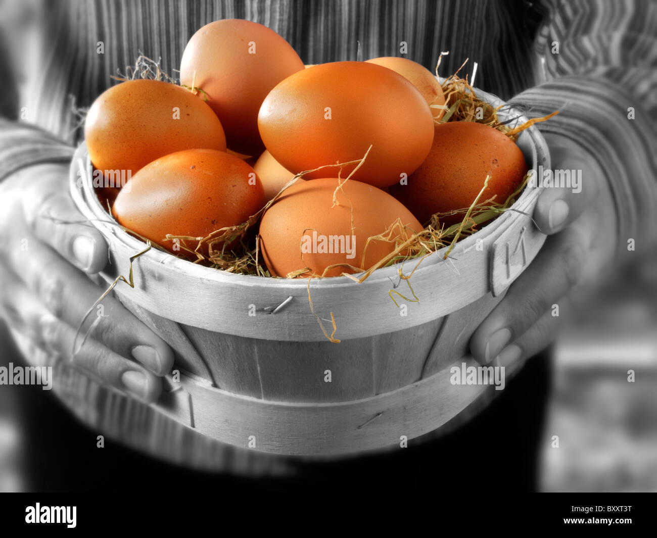 Frische Hähnchen Freilandeier in einem hölzernen Korb Stockfoto