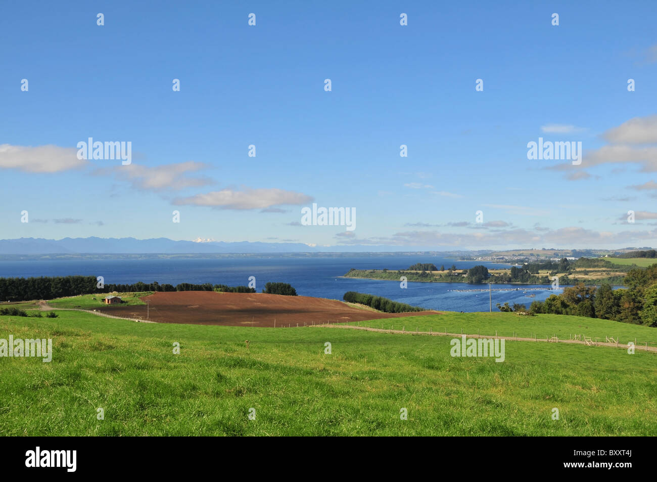 Blauer Himmelsblick auf grüne Wiesen und See Llanquihue, mit Blick auf Puerto Varas und fernen Gipfel der Anden, von Frutillar, Chile Stockfoto