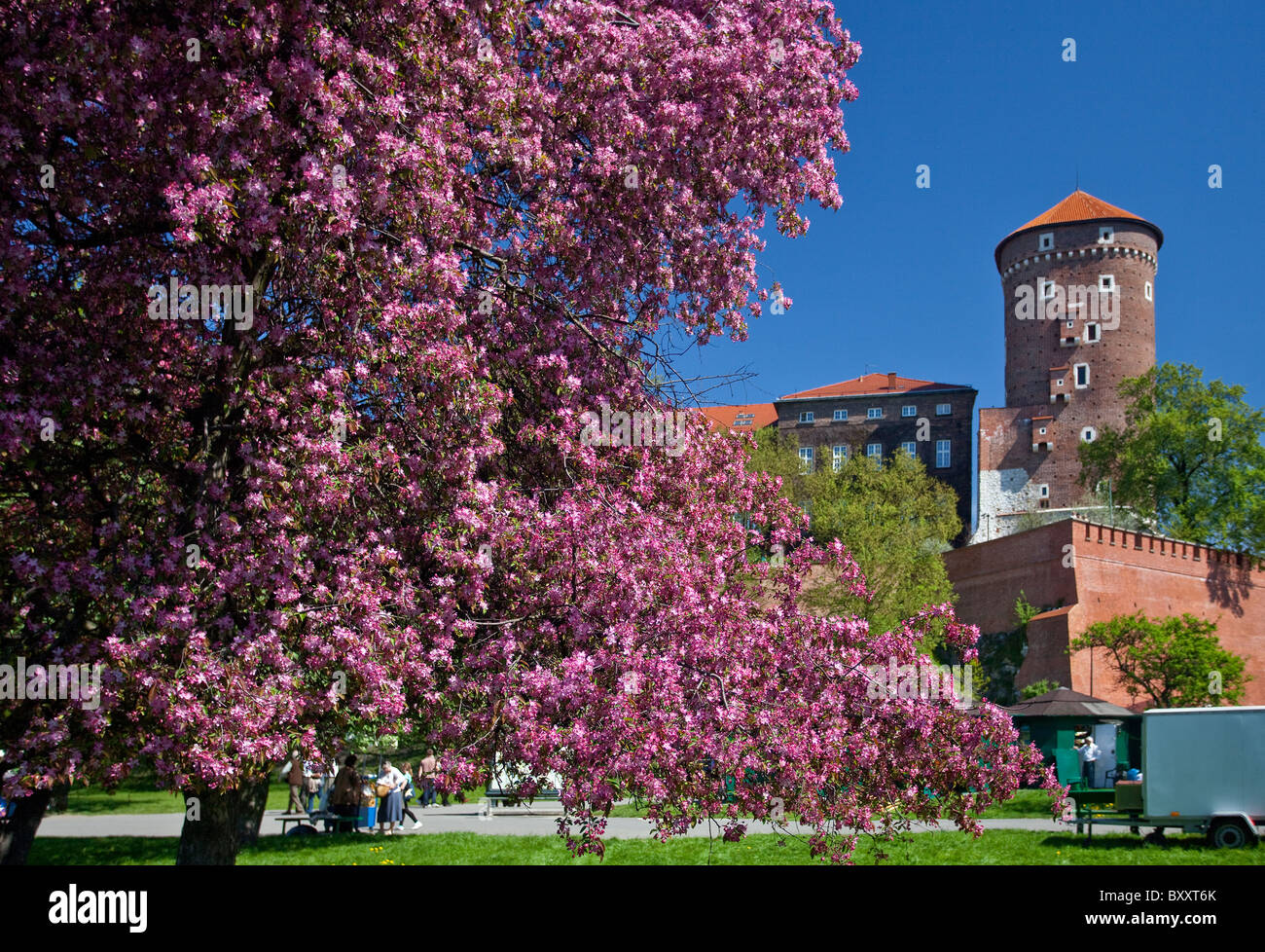 Sandomierz Turm, Schloss Wawel, Krakau, Polen Stockfoto