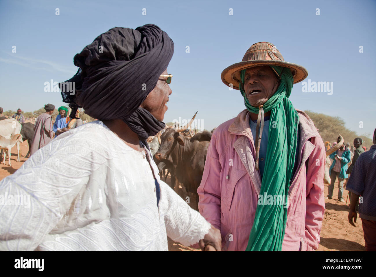 Auf dem Wochenmarkt der Rinder in der Stadt Djibo im nördlichen Burkina Faso Fulani Hirten kaufen und verkaufen Vieh. Stockfoto