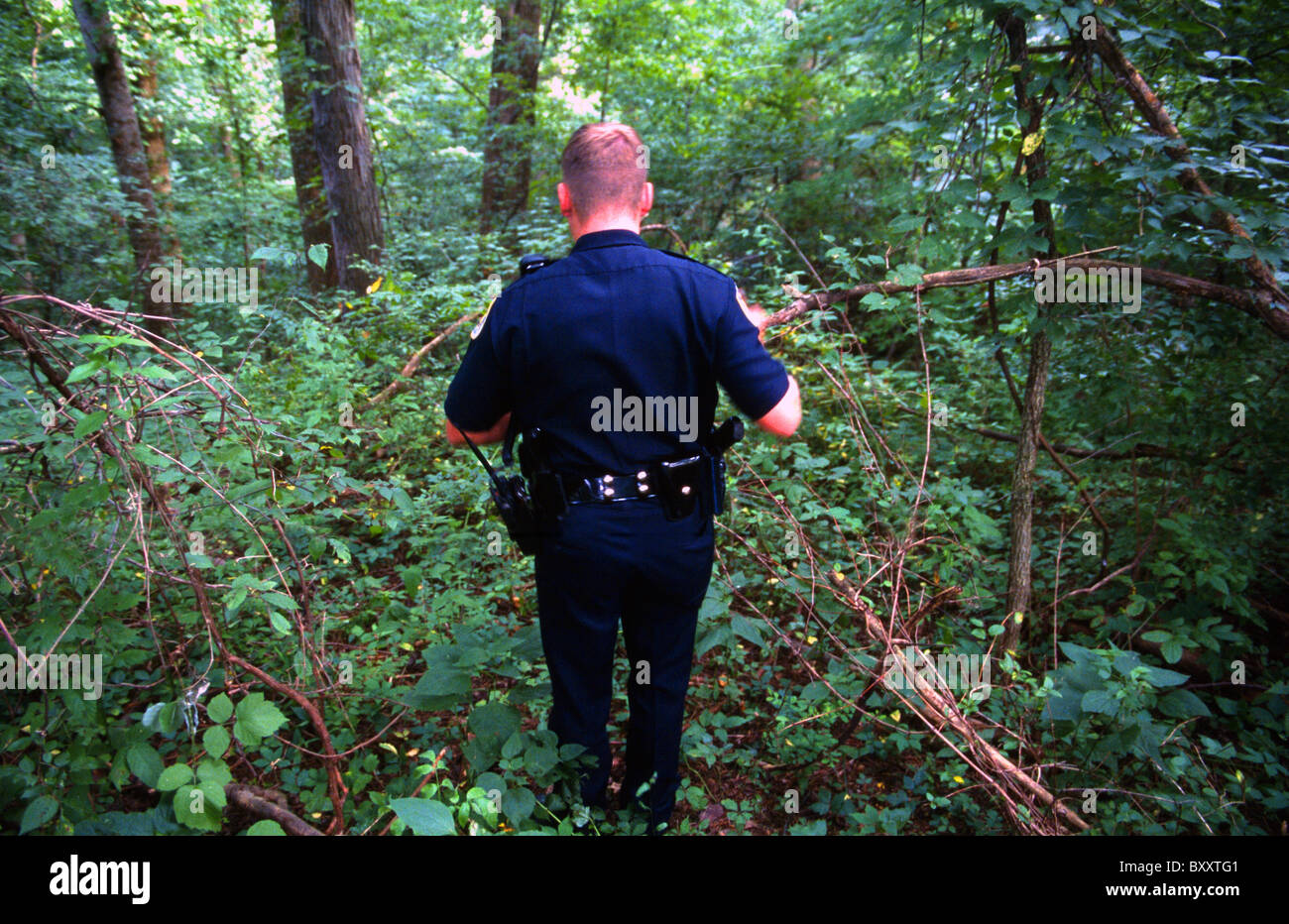 Amerikanische Polizisten suchen im Wald Stockfoto