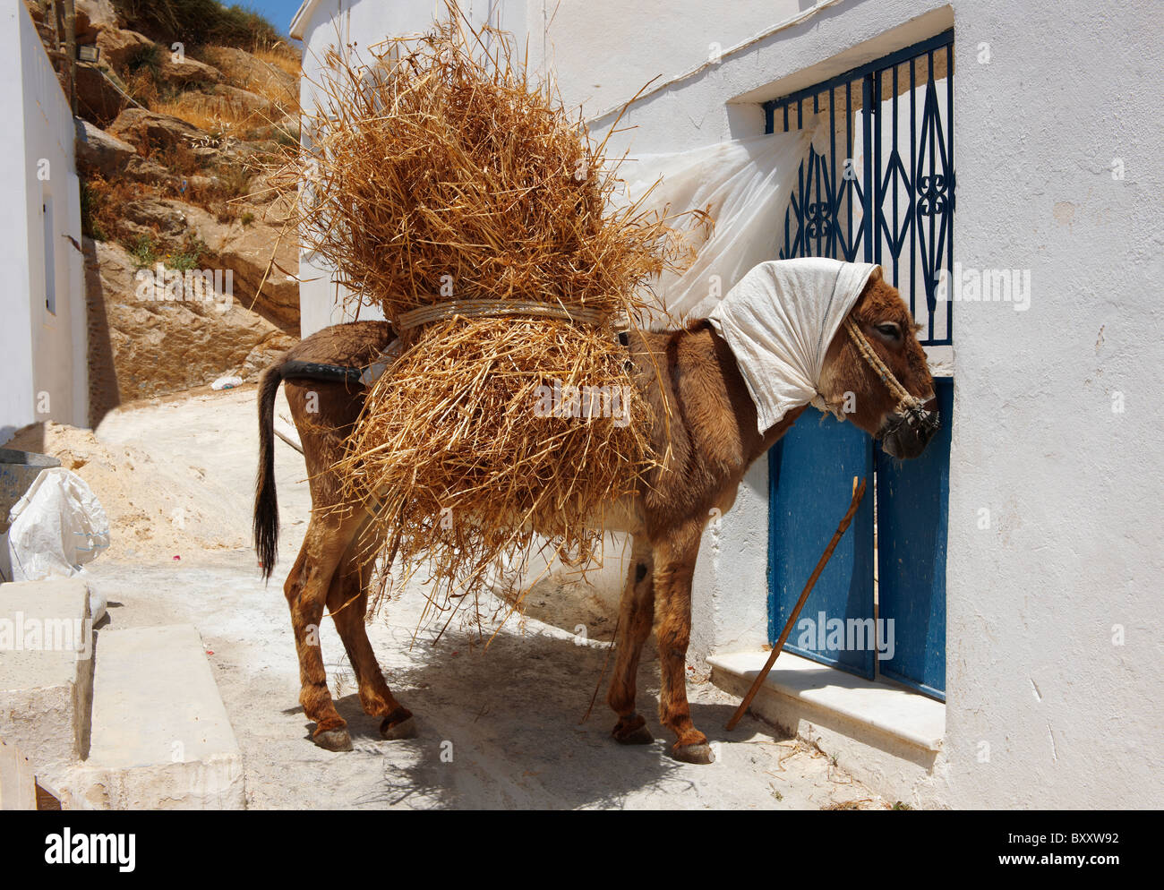 Esel, beladen mit Heu schlafen in der Mitte Tag Sonne. Naxos, griechischen Kykladen-Inseln Stockfoto