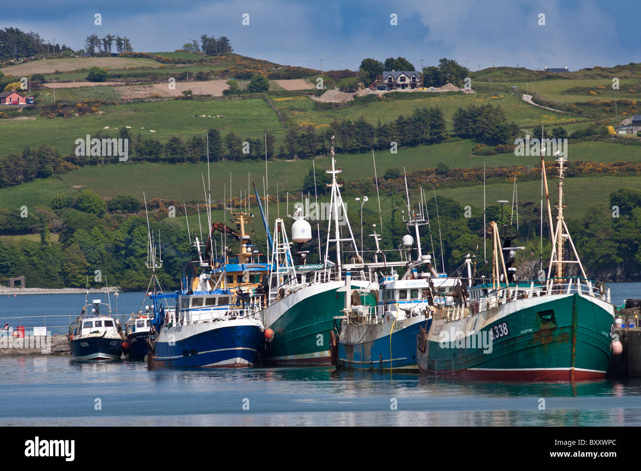 Fischerboote im Hafen von Union Halle, County Cork, Irland Stockfoto