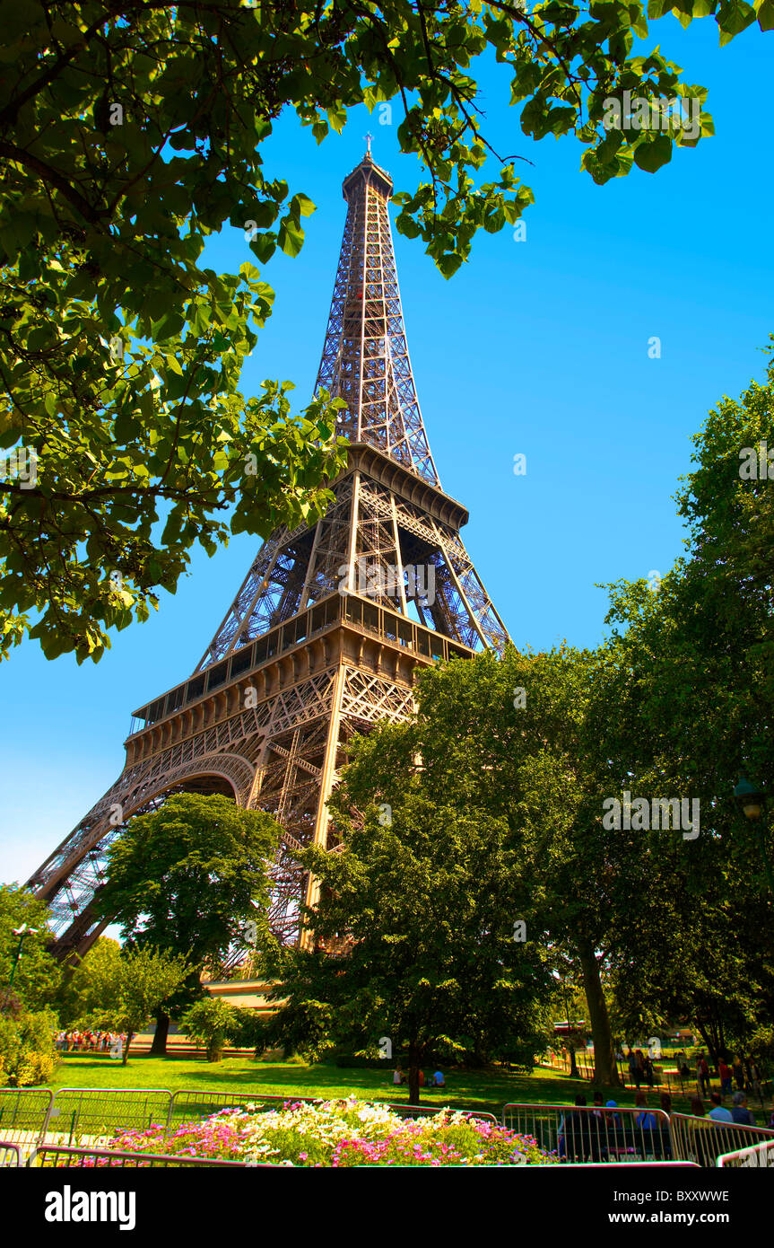 Paris - Frankreich - Eifel Tower - durch Bäume Stockfoto