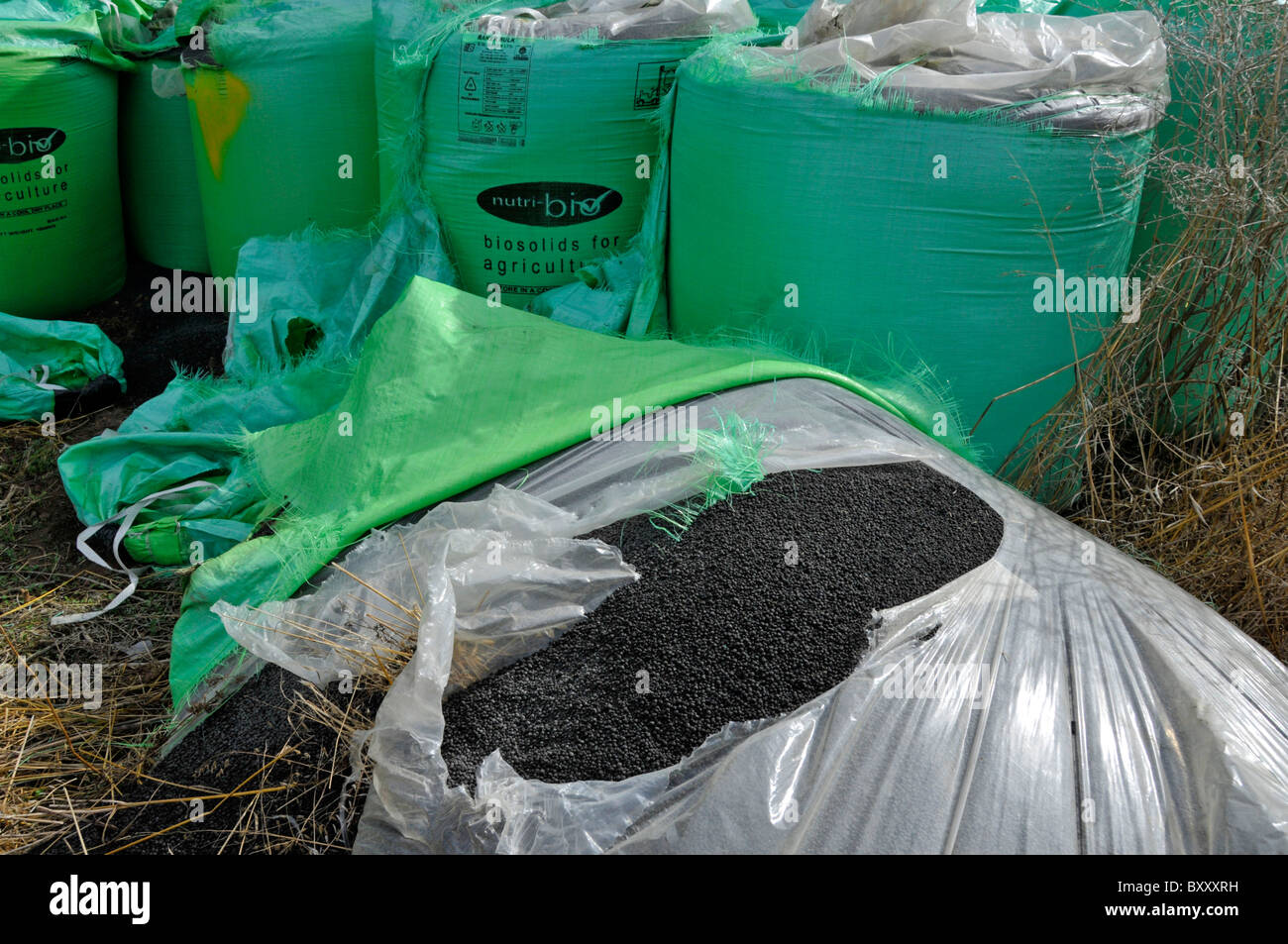 Beutel mit Biosolids Dünger aus Abwasser von Nutri Bio abgeleitet Ein Teil von Anglian Wasser geliefert, um Farm Feld in grün FIBC Jumbo Bulk Bag Super Sack UK Stockfoto