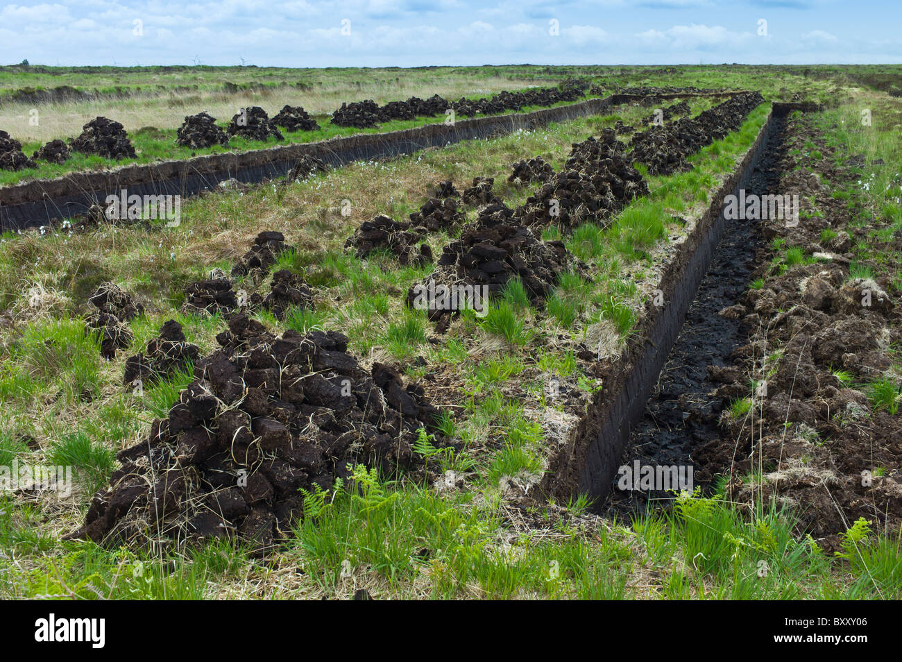 Turf Moor zeigt auf Mountrivers Torfmoor, County Clare, westlich von Irland schneiden und Stapeln von Torf (Fundamente) Stockfoto