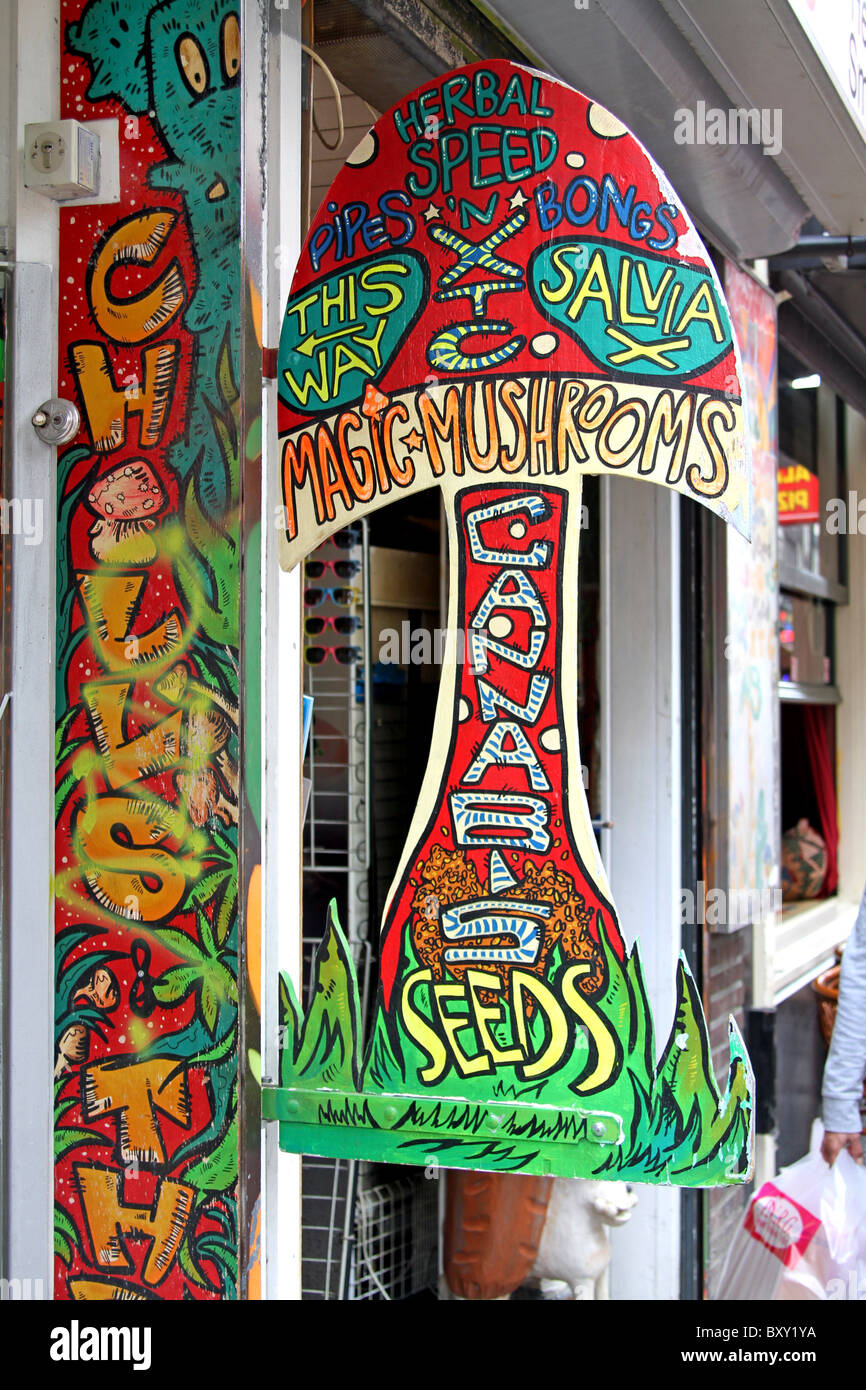 Magische Pilze und Cannabis Samen Zeichen auf Drogen Shop in Amsterdam, Holland Stockfoto
