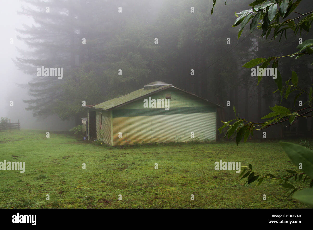 Eine grün-weiße Scheune an einem nebligen Tag. Stockfoto