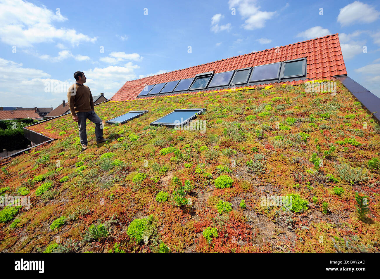 Öko-Selbstversorger Hütte "Fleur de Ciel" im Loos En Gohelle Stockfoto