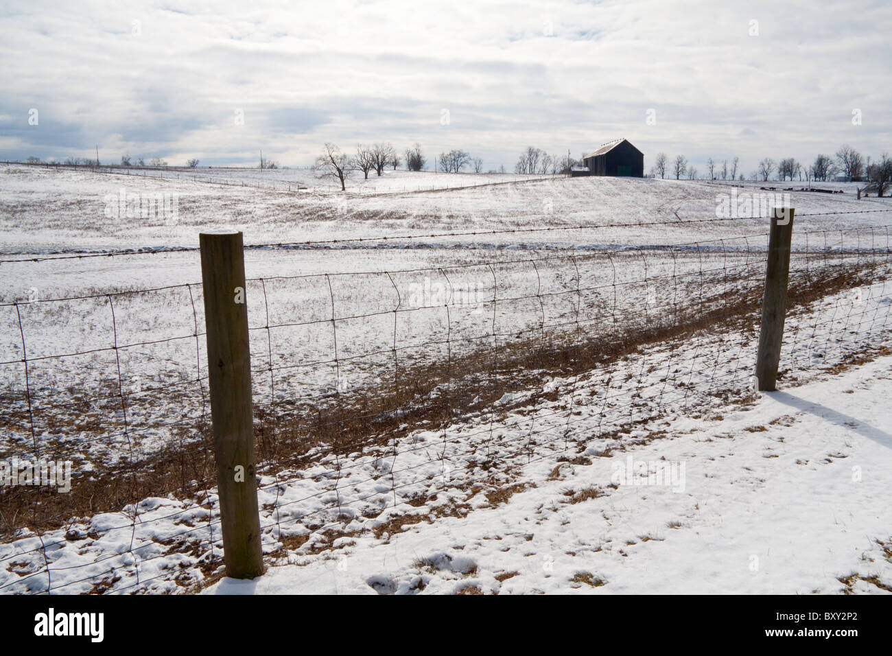 Winterlandschaft Kentucky Bauernhof mit Scheune und Schnee Stockfoto