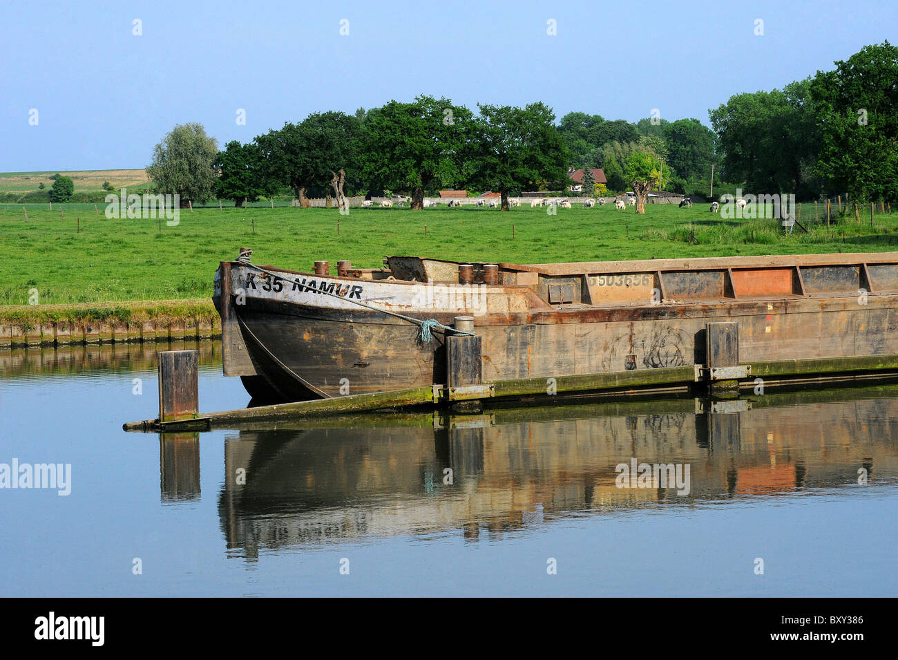 Belgien: Ufer des Flusses Dender Stockfoto