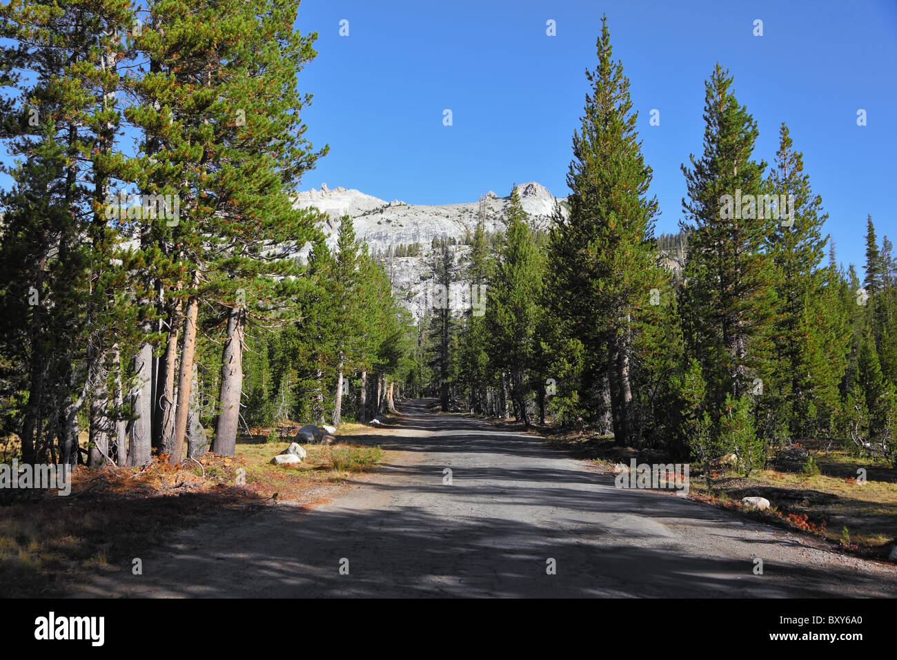 Eher schmale Straße in die Berge des Nationalparks Yosemite. Klar solar Herbstmorgen Stockfoto