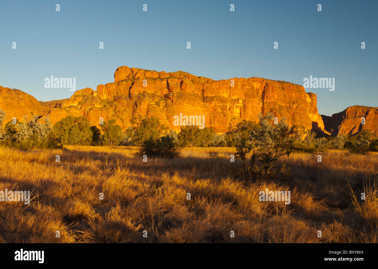 Sonnenuntergang in der Bungle Bungles, Purnululu National Park, Kimberley, Western Australia, Australia Stockfoto