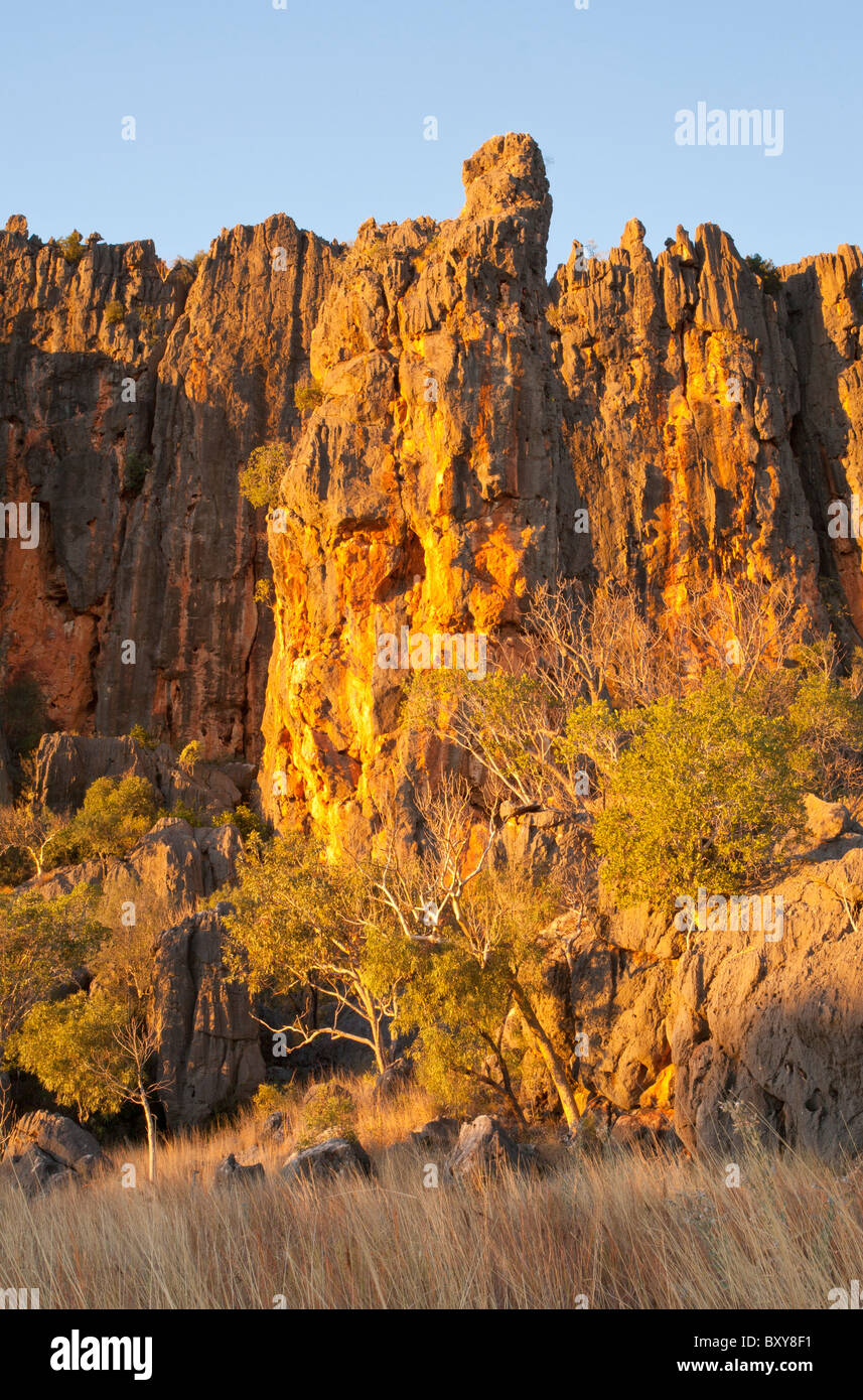 Sonnenuntergang auf Kalkstein Befestigungsmauern der Windjana Gorge, Derby, Kimberley, Western Australia Stockfoto