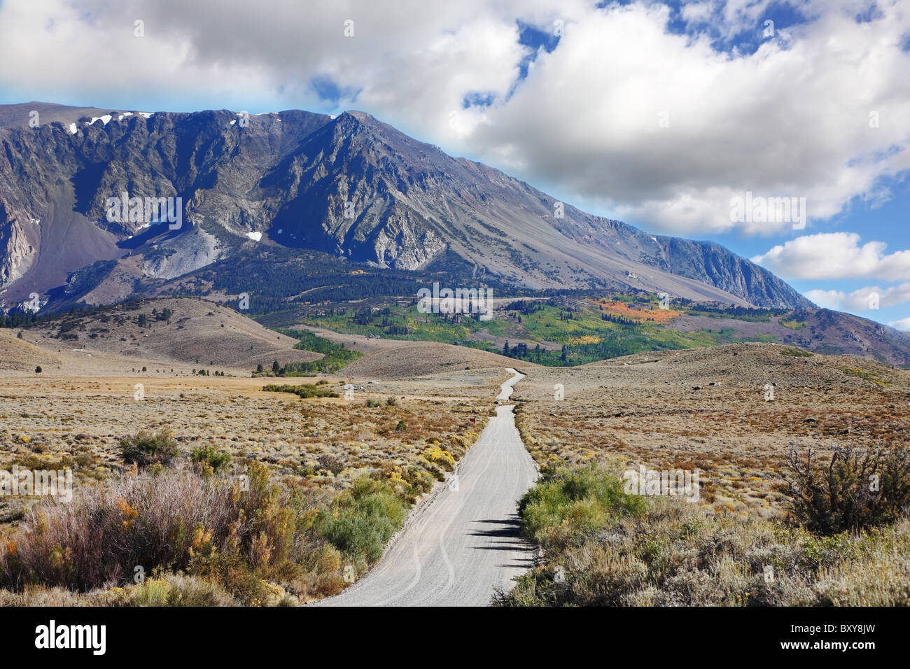 Die schmale Asphaltstraße in der malerischen blühende Steppe zu den fernen Bergen Stockfoto