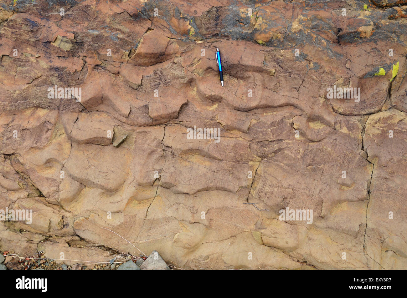 Welligkeit Markierungen auf Gesteinsoberfläche ausgesetzt. Karoo-Becken, Südafrika. Stockfoto