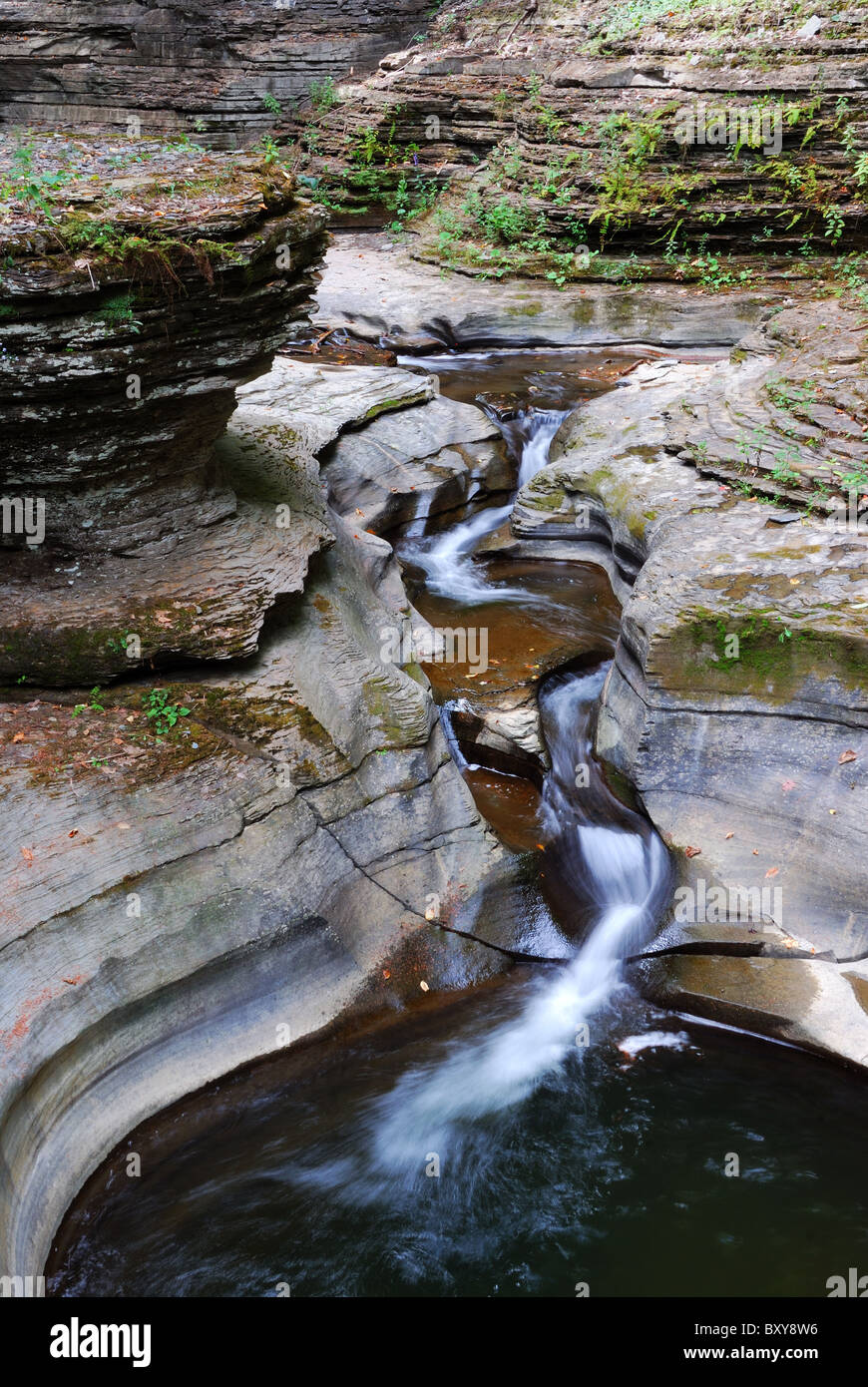 Stream über Felsen in Watkins Glen State Park im Bundesstaat New York Stockfoto