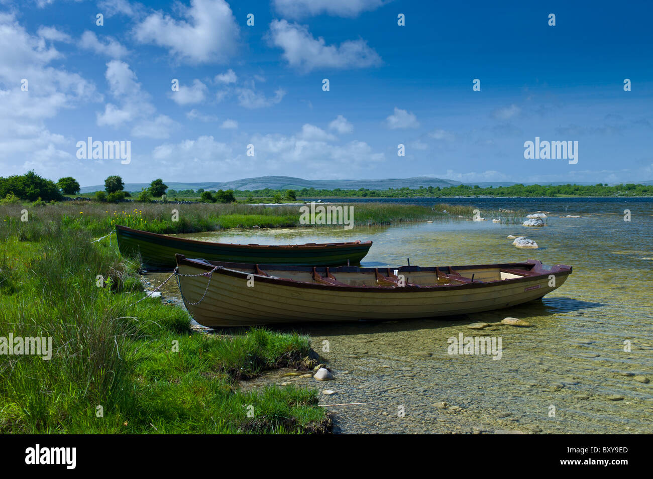 Boote im Schilf am Lough Muckanagh, County Clare, Irland Stockfoto