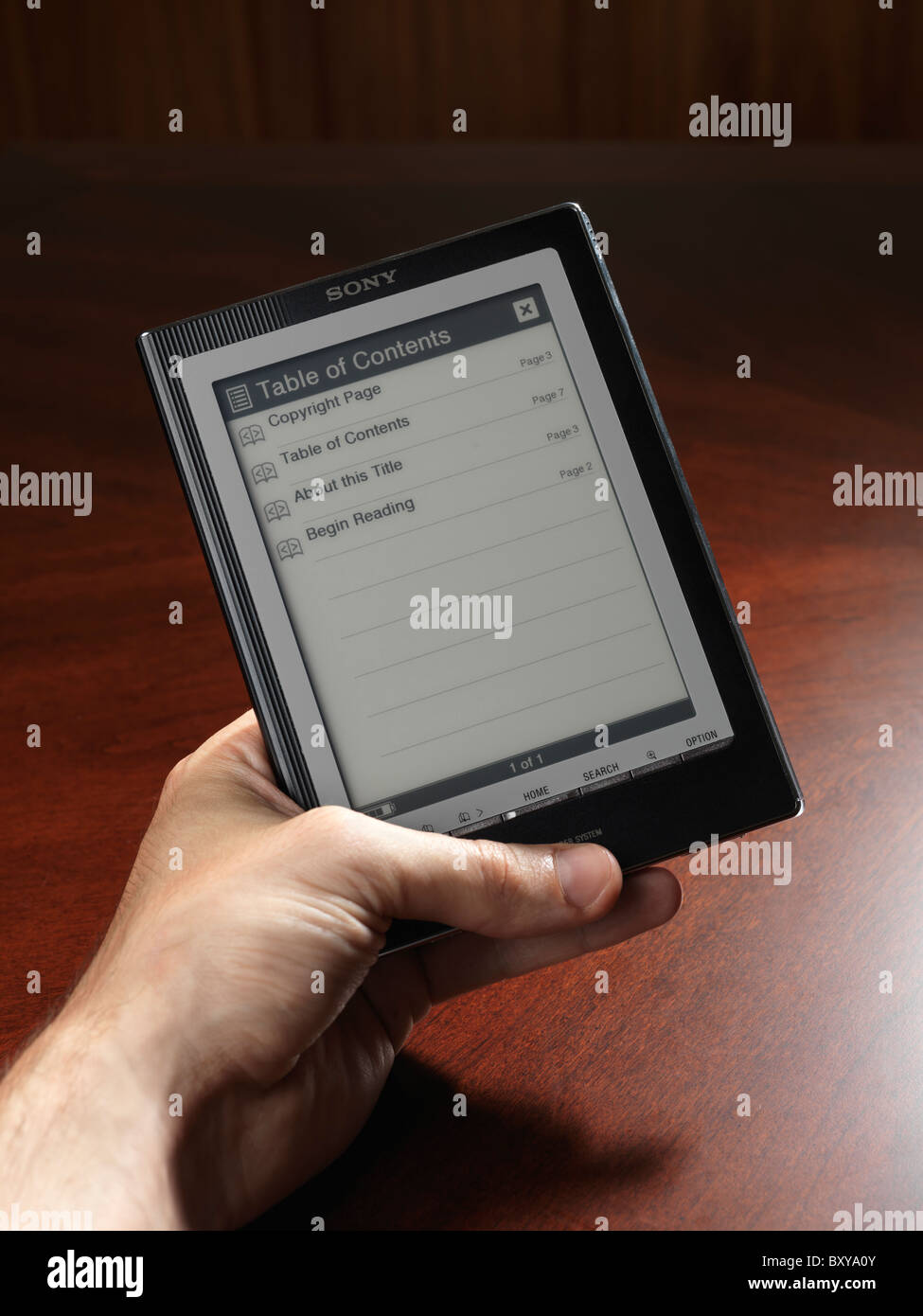 Person, die Sony Reader. Portable Reader PRS-700 System. Touch Screen-e-Book-Gerät. Stockfoto