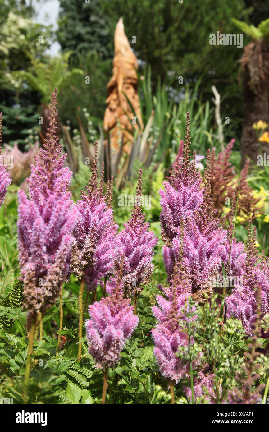 Mount Pleasant Gardens, England. Sommer-Ansicht der Astilben in voller Blüte mit einer Skulptur aus Holz Assistent im Hintergrund. Stockfoto