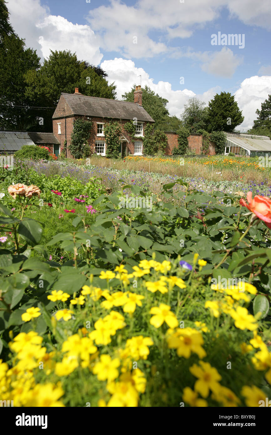Rode Hall Country House and Gardens. Die ummauerte Gemüsegarten mit der Gärtner-Hütte im Hintergrund. Stockfoto