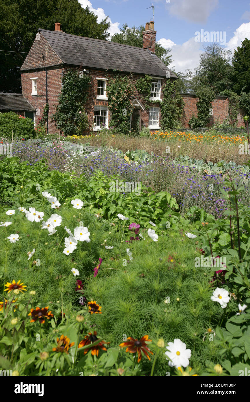 Rode Hall Country House and Gardens. Die ummauerte Gemüsegarten mit der Gärtner-Hütte im Hintergrund. Stockfoto