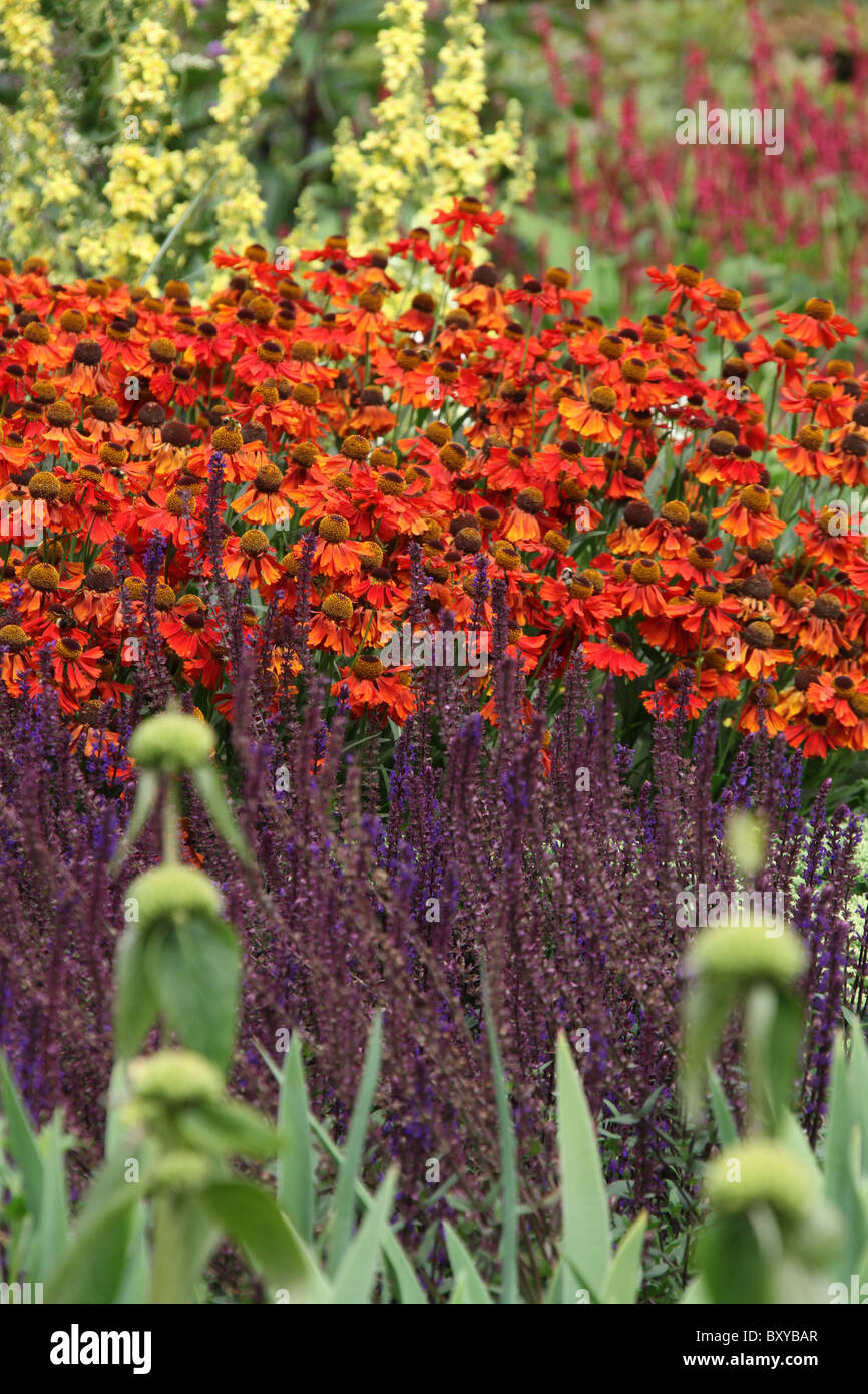 Abbeywood Garten, Cheshire. Malerische Sommer Ansicht der krautige Grenze innerhalb des Gartens Abbeywood Pergola Fuß. Stockfoto